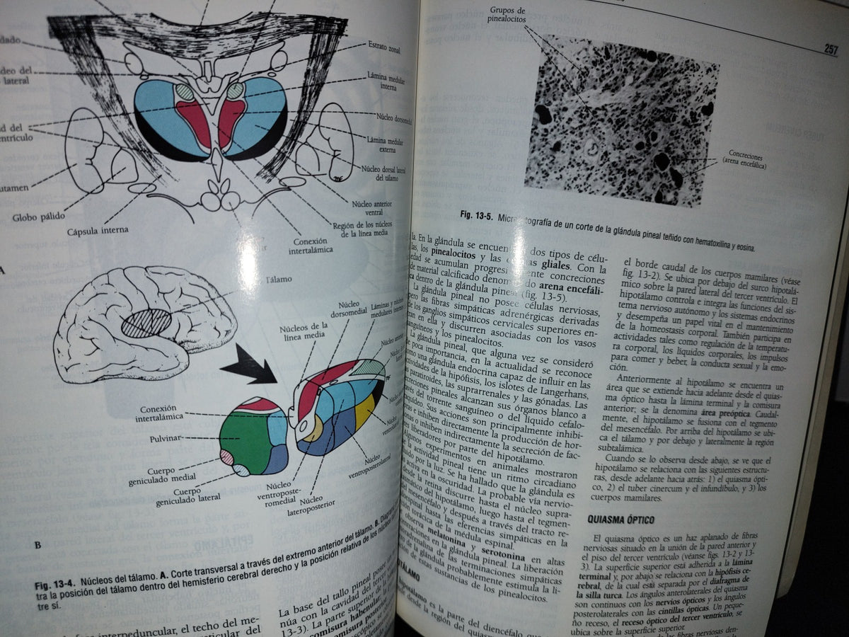 57- Neuroanatomía Clínica. Cuarta Edición - Richard S. Snell - 1999
