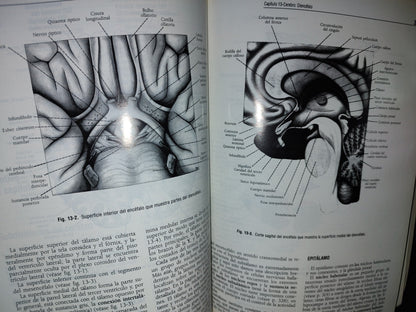 57- Neuroanatomía Clínica. Cuarta Edición - Richard S. Snell - 1999