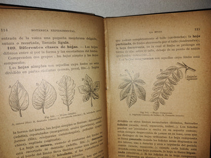 59- Botánica Experimental G. M. Bruño - Librería De La Vda. De C. Bouret, 1922