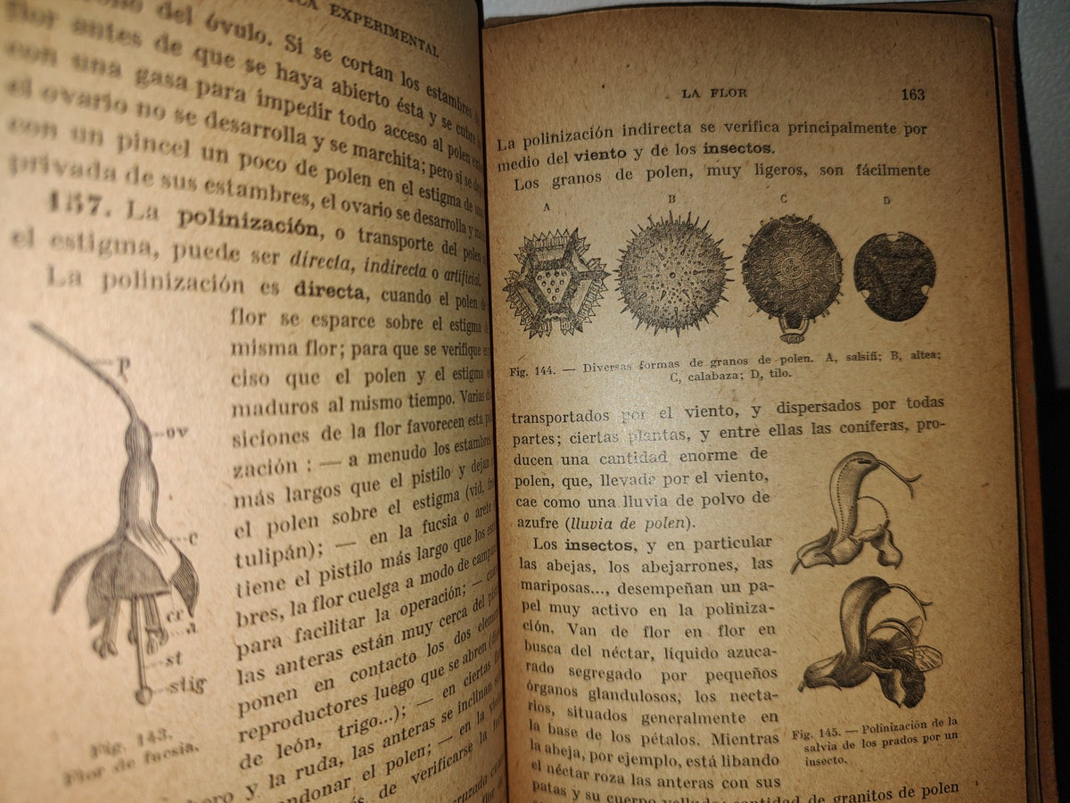59- Botánica Experimental G. M. Bruño - Librería De La Vda. De C. Bouret, 1922