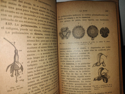 59- Botánica Experimental G. M. Bruño - Librería De La Vda. De C. Bouret, 1922