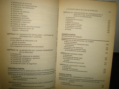 7- Turn-Around. La Reingeniería De Los Negocios - Guillermo R. Schmitt