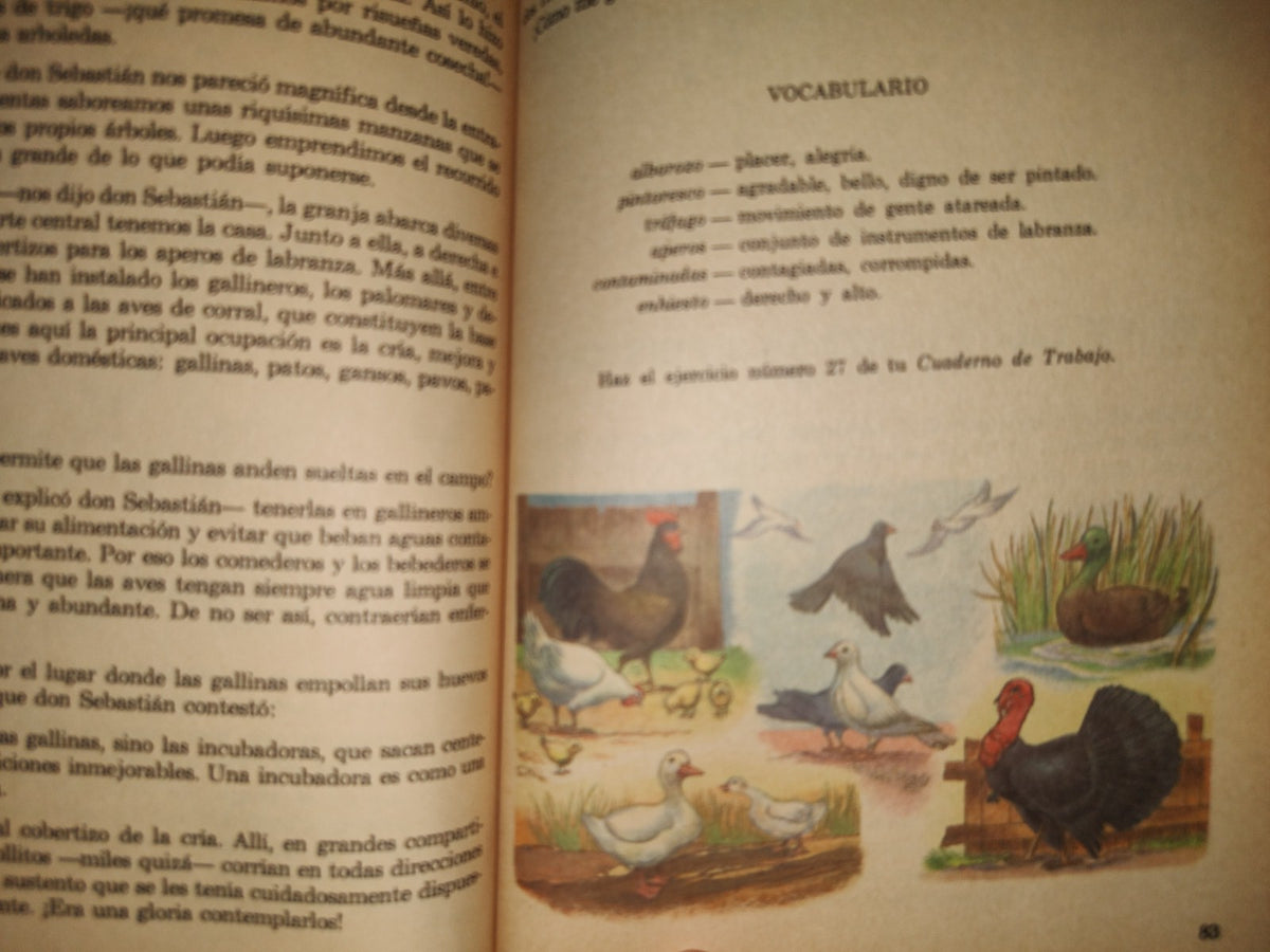 100 - Mi Libro De Cuarto Año. Lengua Nacional - Carmen Norma - Secretaría De Educación Pública 1972