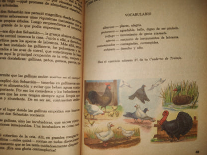 100 - Mi Libro De Cuarto Año. Lengua Nacional - Carmen Norma - Secretaría De Educación Pública 1972