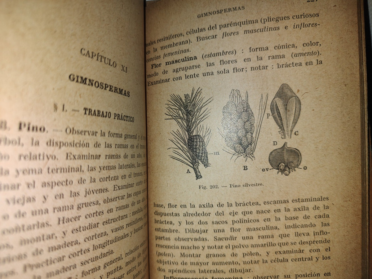 59- Botánica Experimental G. M. Bruño - Librería De La Vda. De C. Bouret, 1922