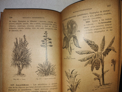 59- Botánica Experimental G. M. Bruño - Librería De La Vda. De C. Bouret, 1922