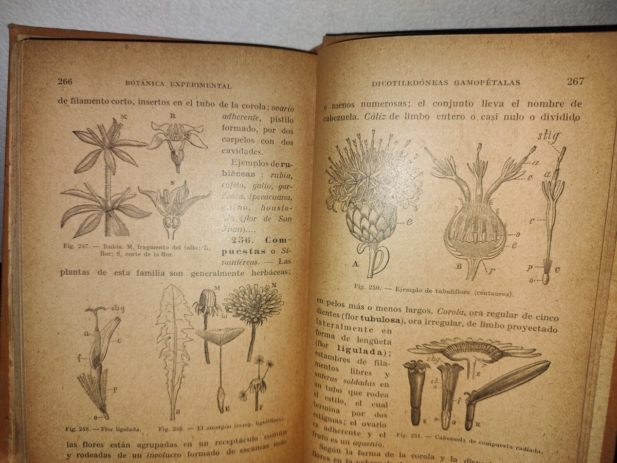 59- Botánica Experimental G. M. Bruño - Librería De La Vda. De C. Bouret, 1922