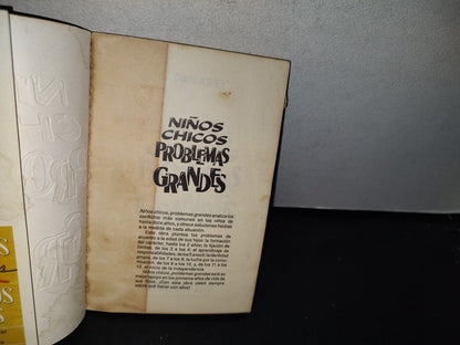 87-2- Niños Chicos, Problemas Grandes - Dan Kiley