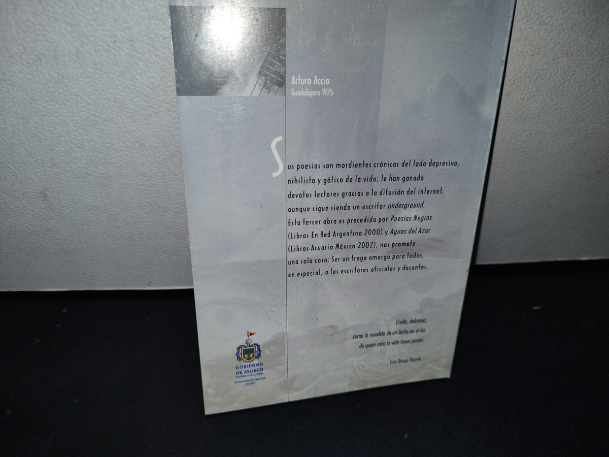 167- La Sinfonía De Los Perdedores - Arturo Accio - Primera Edición 2004
