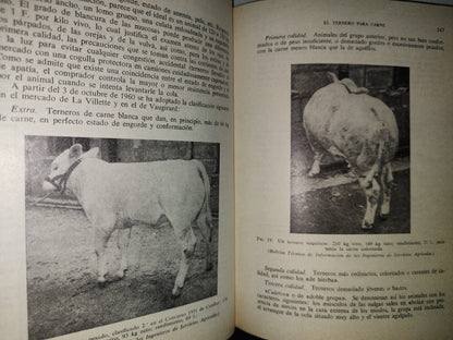 114- El Ternero - C. Craplet. Ediciones Gea, Primera Edición 1969