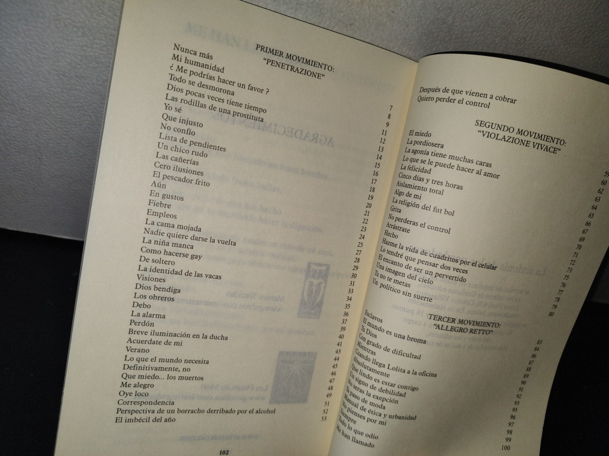 167- La Sinfonía De Los Perdedores - Arturo Accio - Primera Edición 2004