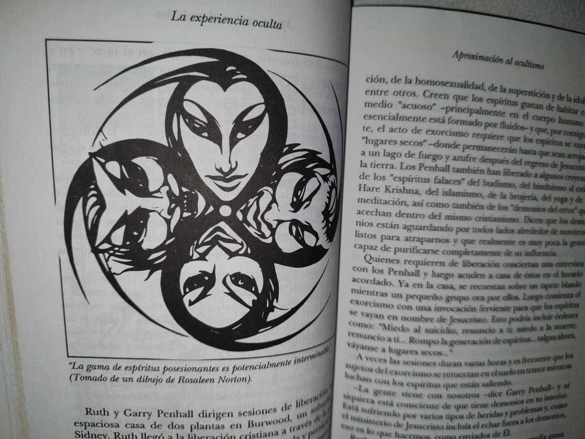 167- La Experiencia Oculta - Nevill Drury - Editorial DIANA. Primera Edición, Marzo 1993