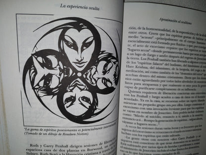 167- La Experiencia Oculta - Nevill Drury - Editorial DIANA. Primera Edición, Marzo 1993