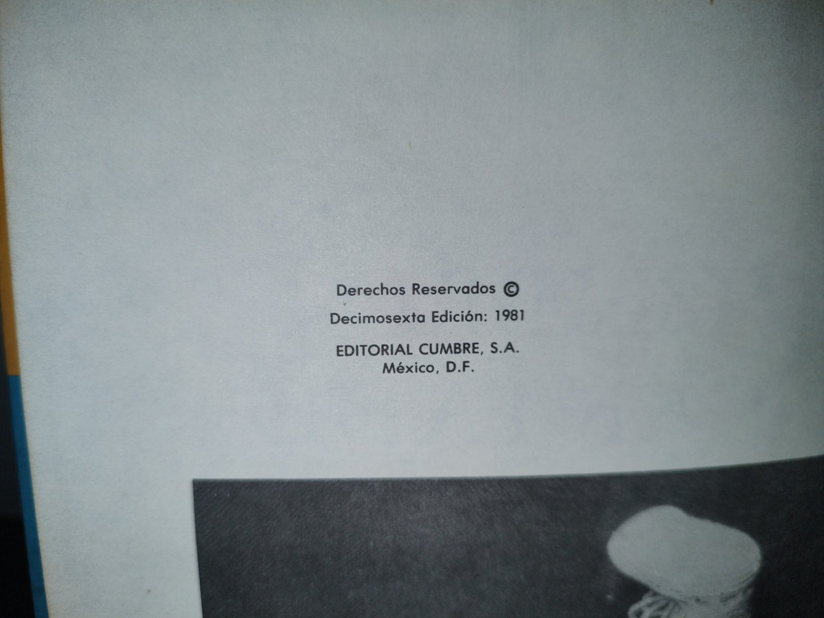 188- Mi Libro Encantado Volumen Xii. Nuestros Hijos - Editorial Cumbre 1981