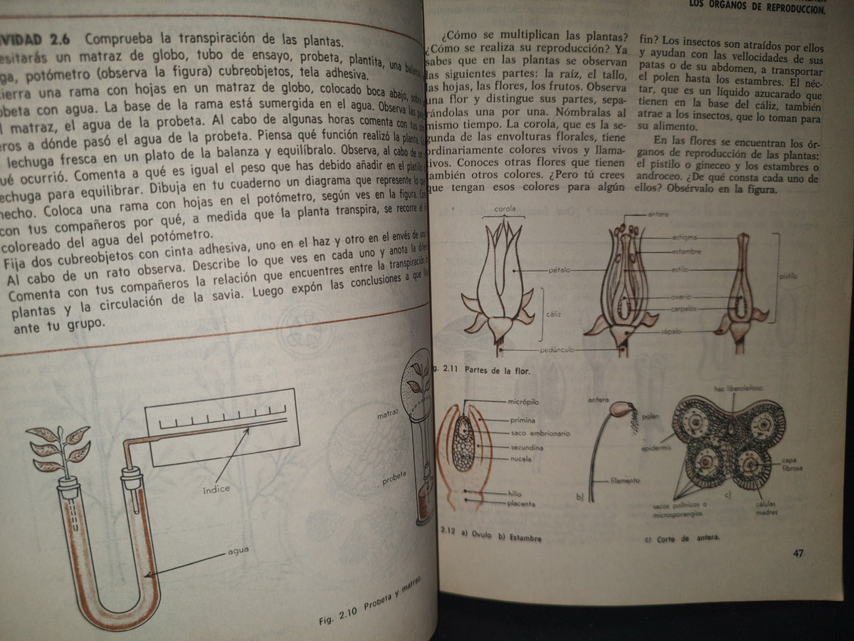 34- Educación Dinámica. Ciencias Naturales 2 - E. Moreno, M. Moreno - 1976
