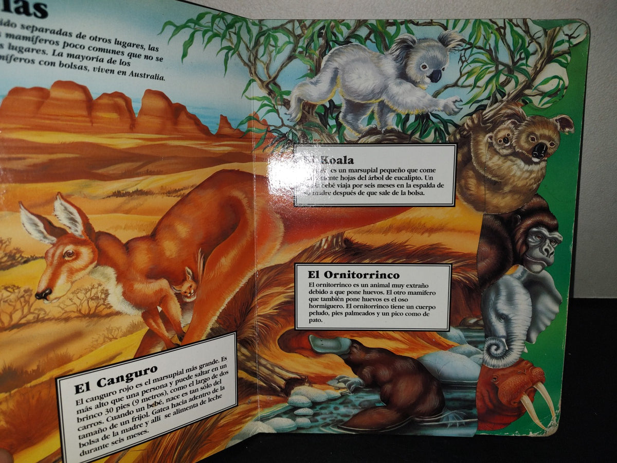 214- Mamíferos En La Punta De Sus Dedos - McClanahan Book Company 1993