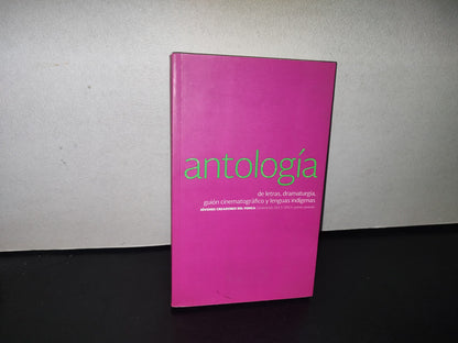 83- Antología De Letras, Dramaturgia, Guión Cinematográfico Y Lenguas Indígenas. Jóvenes Creadores