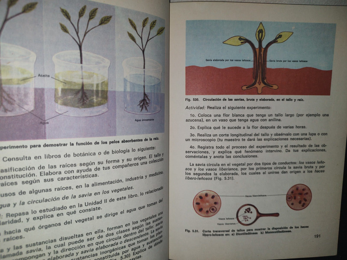 34- Ciencias Naturales Segundo Grado. Enseñanza Media Básica - Xorge A. Domínguez - Primera Edición 1976