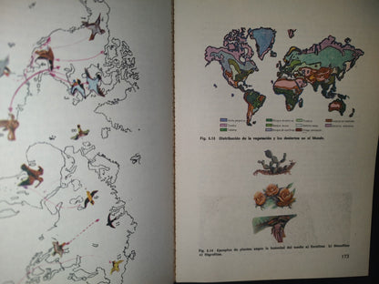 34- Ciencias Naturales Segundo Grado. Enseñanza Media Básica - Xorge A. Domínguez - Primera Edición 1976