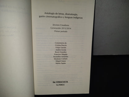 83- Antología De Letras, Dramaturgia, Guión Cinematográfico Y Lenguas Indígenas. Jóvenes Creadores