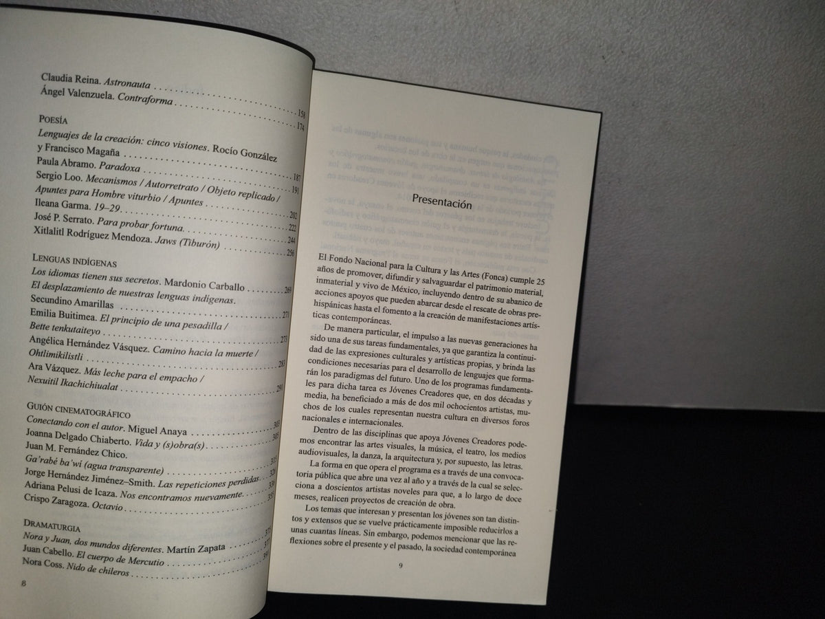 83- Antología De Letras, Dramaturgia, Guión Cinematográfico Y Lenguas Indígenas. Jóvenes Creadores