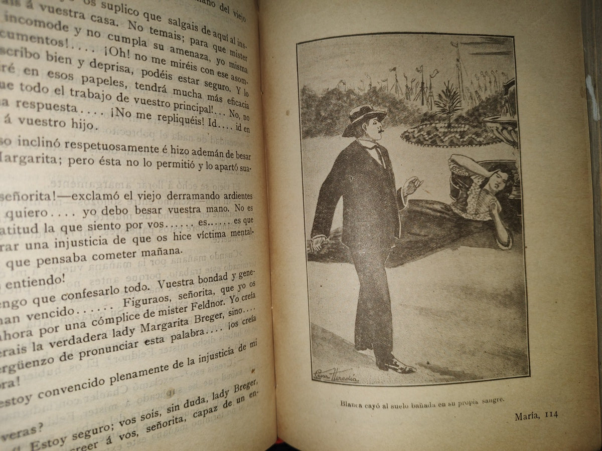 64- María. El Hada Del Bosque. Libro Segundo - Lorenzo Gualtieri - Vecchi Y Casini Editores - 1900'S