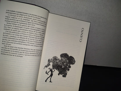 83- Antología De Letras, Dramaturgia, Guión Cinematográfico Y Lenguas Indígenas. Jóvenes Creadores