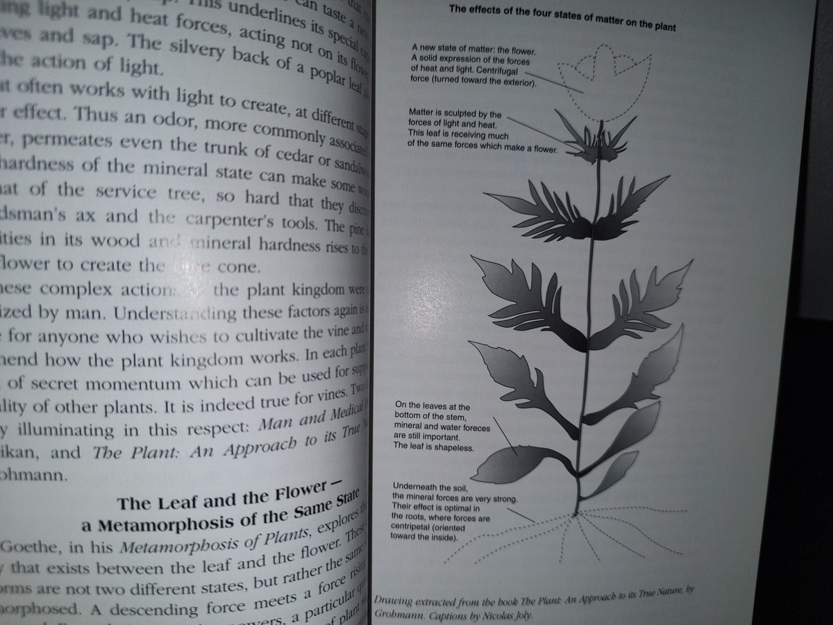 158- Wine From Sky To Earth. Growing & Appreciating Biodynamic Wine - Nicolas Joy - 1st. English Ed. 1999
