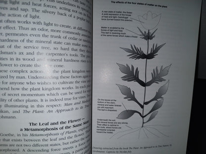 158- Wine From Sky To Earth. Growing & Appreciating Biodynamic Wine - Nicolas Joy - 1st. English Ed. 1999