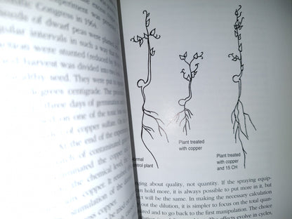 158- Wine From Sky To Earth. Growing & Appreciating Biodynamic Wine - Nicolas Joy - 1st. English Ed. 1999