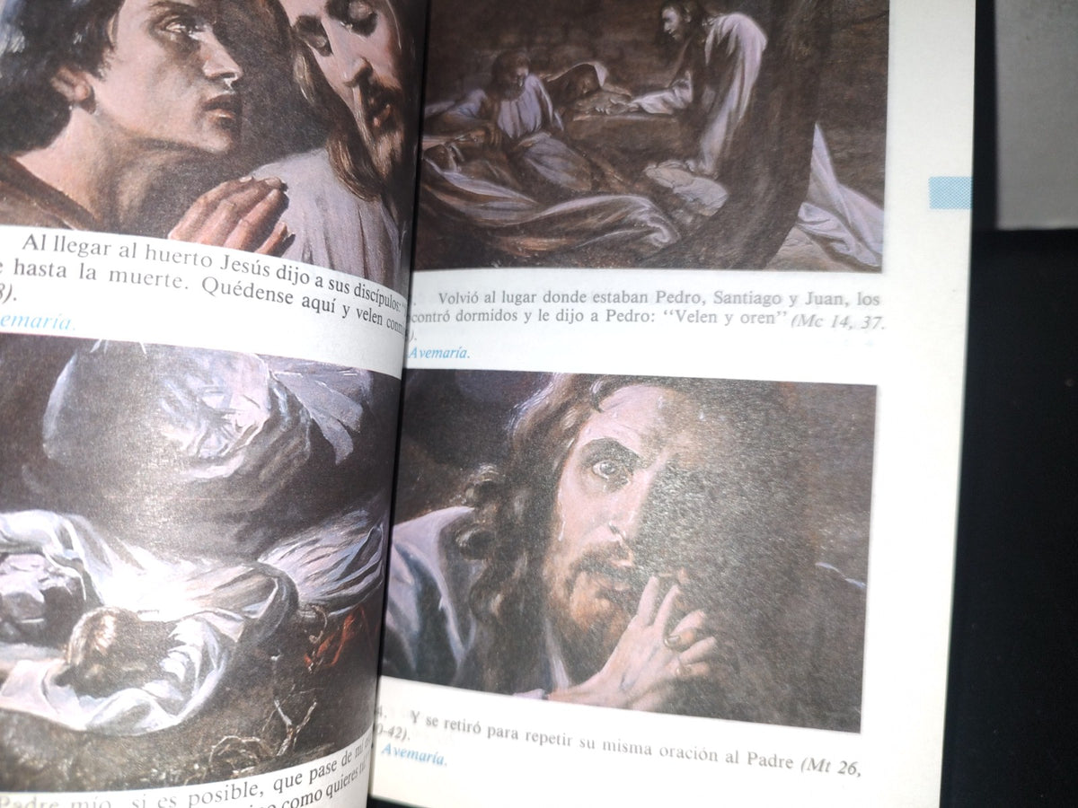 84- El Rosario En Imágenes - Obra Nacional De La Buena Prensa, A. C., México, D. F. 2001