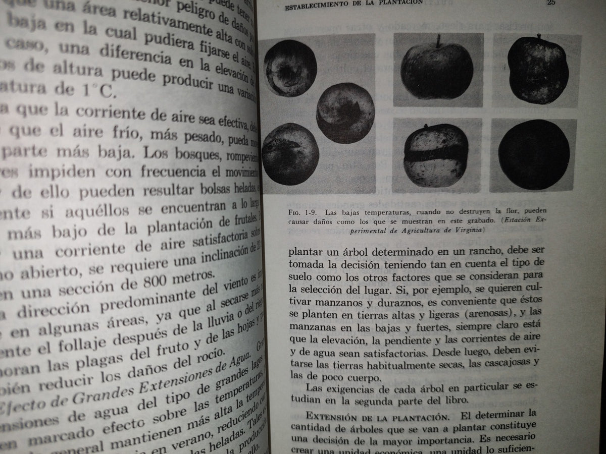 114- Cultivo De Árboles Frutales - Schneider Scarborough - C.E.C.S.A. - 1985