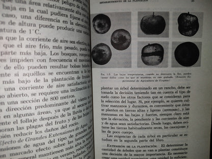 114- Cultivo De Árboles Frutales - Schneider Scarborough - C.E.C.S.A. - 1985