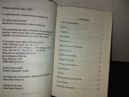 114- El Ser Excelente. Metáforas, Pergaminos Y Guías De Estudio - Miguel Ángel Cornejo