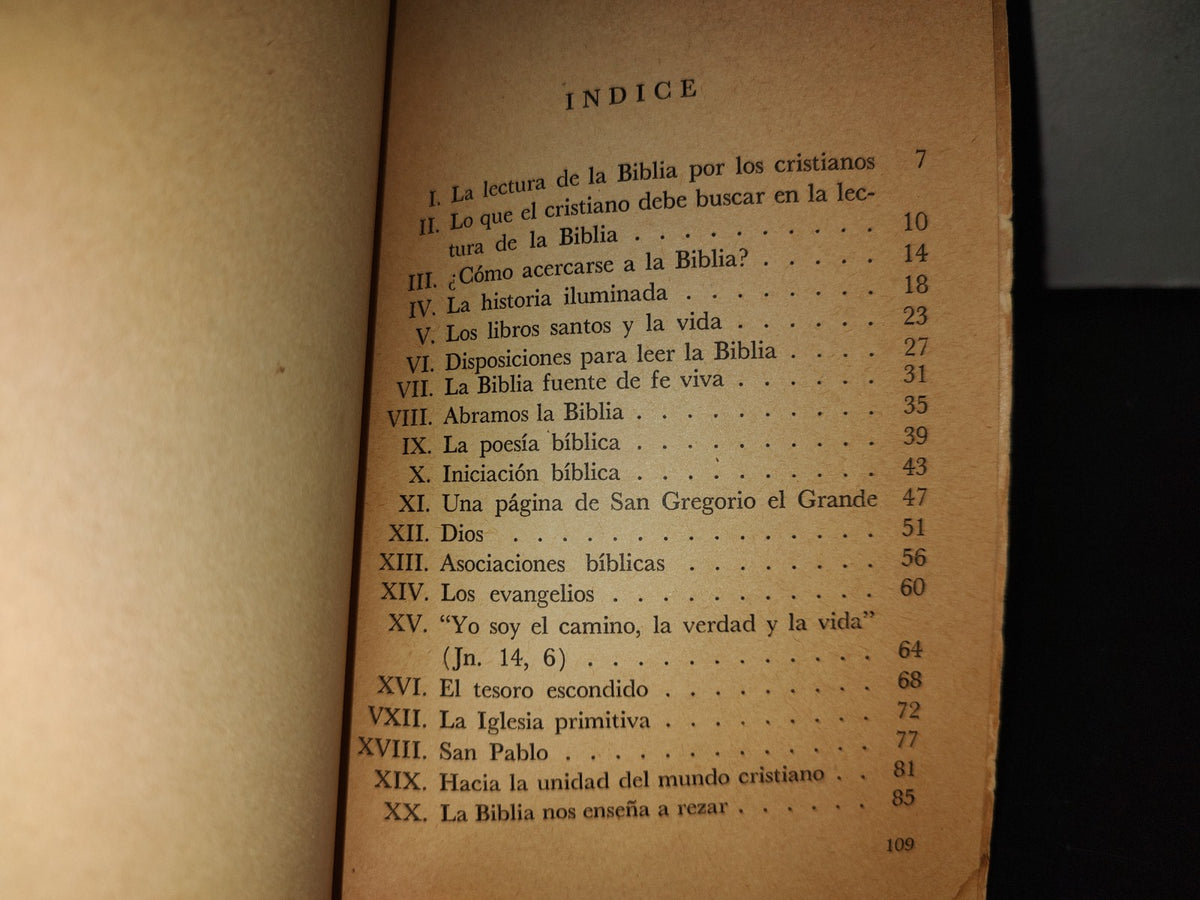 209- Lectura De La Biblia Por Los Cristianos - Salvador Castro Pallares - Ediciones De La Unión Femenina Católica Mejicana - Primera Edición 1963