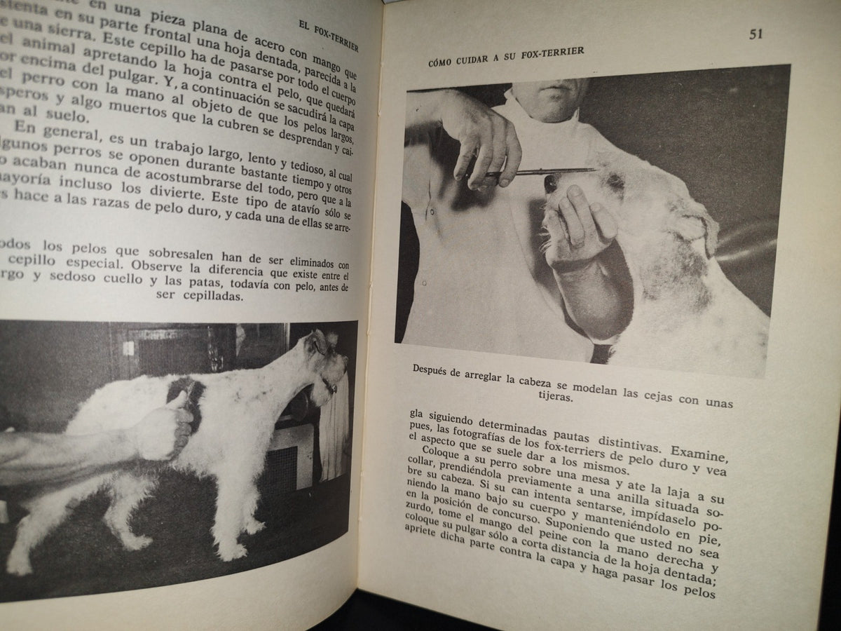 83- El Fox Terrier. Cómo Criarlo Y Adiestrarlo - Evelyn Miller - 1976