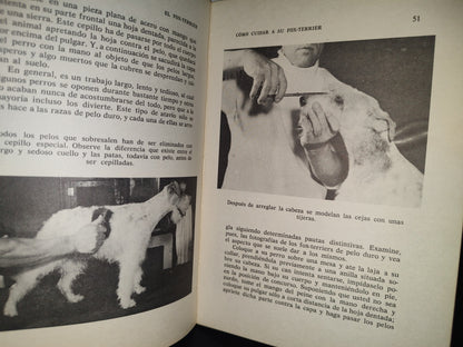 83- El Fox Terrier. Cómo Criarlo Y Adiestrarlo - Evelyn Miller - 1976