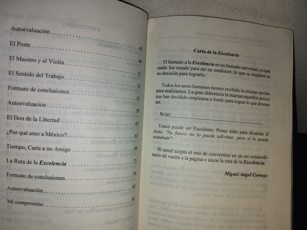 114- El Ser Excelente. Metáforas, Pergaminos Y Guías De Estudio - Miguel Ángel Cornejo