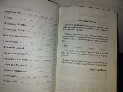 114- El Ser Excelente. Metáforas, Pergaminos Y Guías De Estudio - Miguel Ángel Cornejo