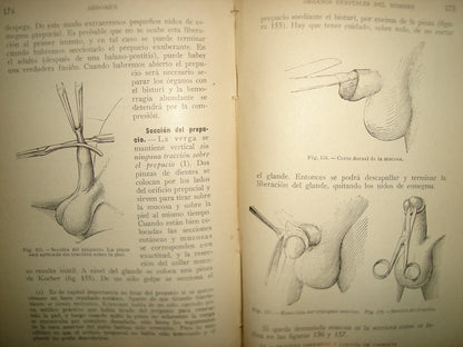 160- Práctica Corriente Y Cirugía De Urgencia - V. Veau Y F. D'Allaines - 1928