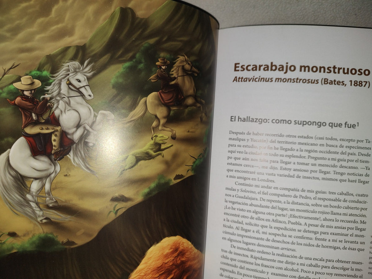 201- Historia De Los Artrópodos - José Luis Navarrete-Heredia. Editorial STAUdeG, 2015