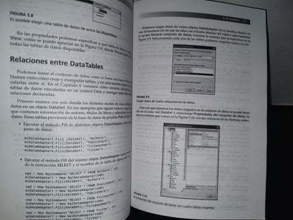 84- Programación De Bases De Datos Con Visual Basic .Net - Richard Hynes