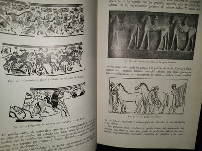 48- Ganado Caballar - José Maria Beltrán - Salvat Editores, S. A., Primera Edición, 1954