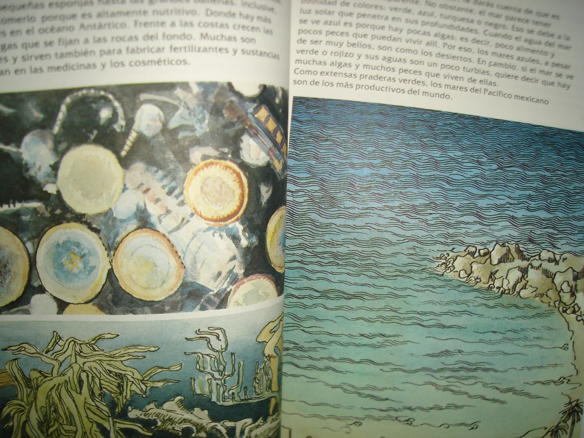 7- Colibrí. El Agua Y Tú. Libros Del Rincón Sep - 1999