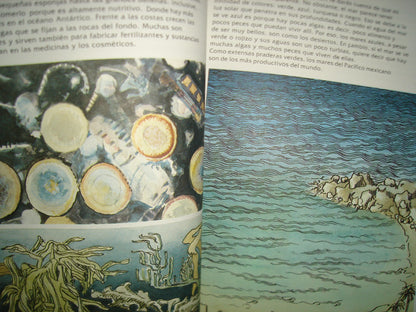 7- Colibrí. El Agua Y Tú. Libros Del Rincón Sep - 1999