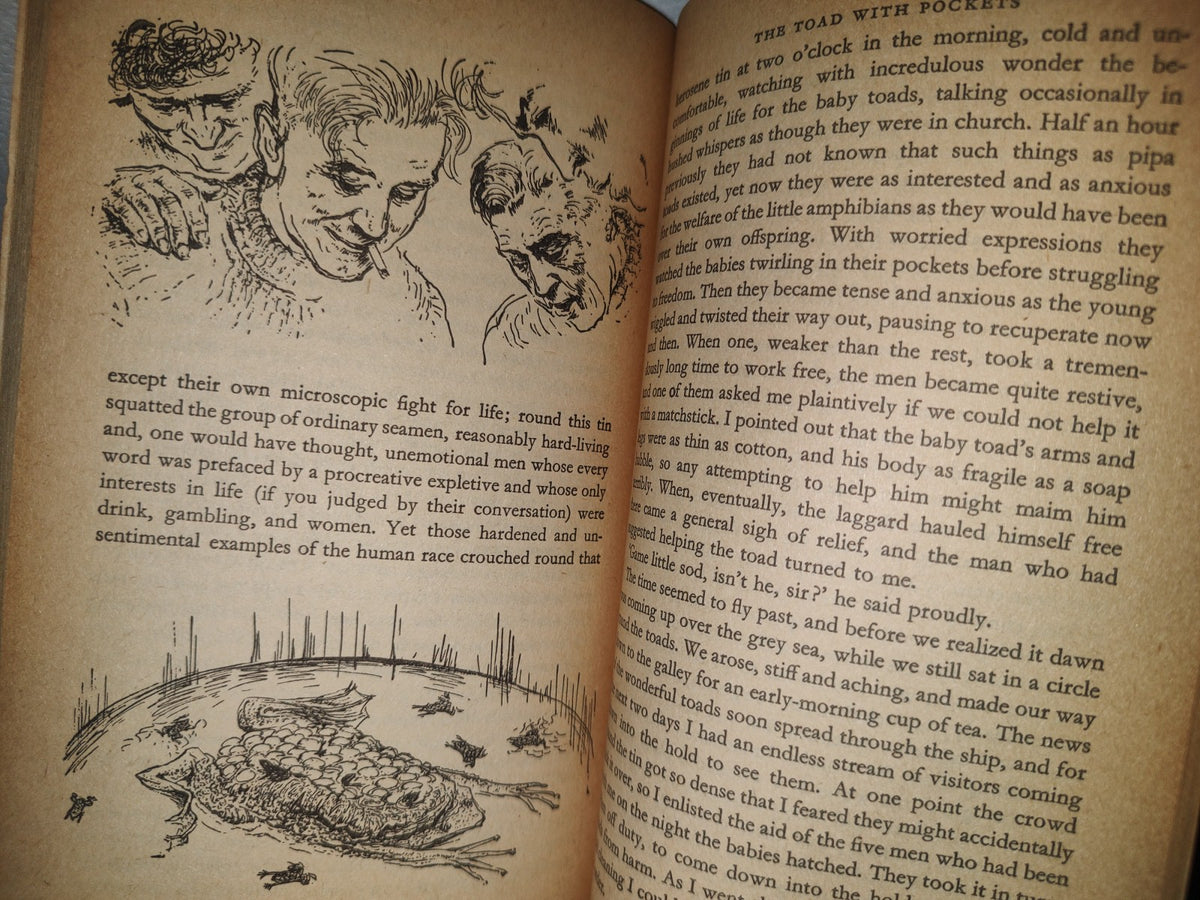 75- Three Singles To Adventure - Gerald Durrell - 1974