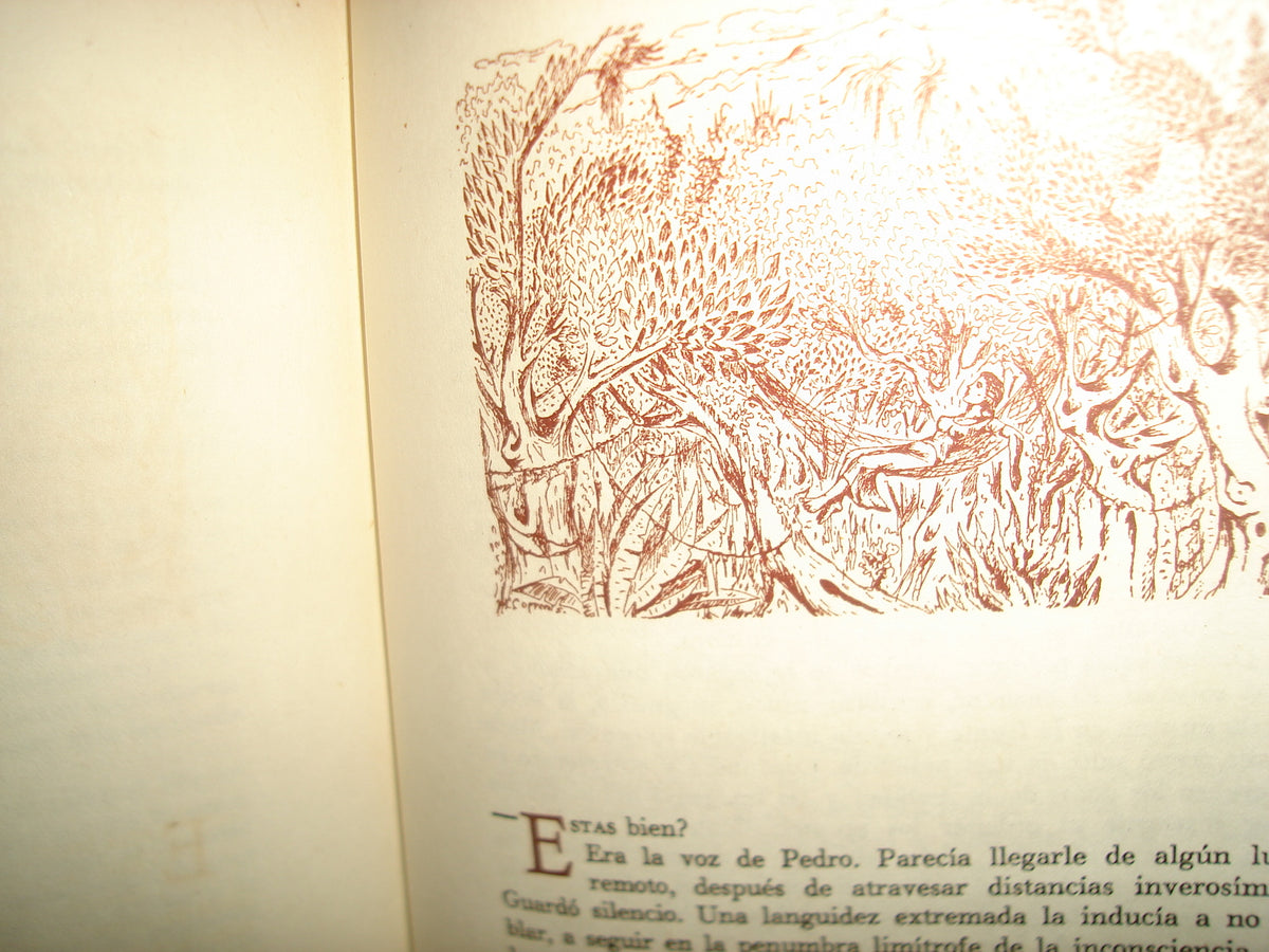 171- La Raiz Errante - Natalicio González - Editorial Guarania. - México - Primera Edición 1953