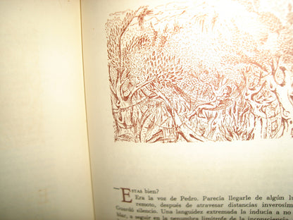 171- La Raiz Errante - Natalicio González - Editorial Guarania. - México - Primera Edición 1953