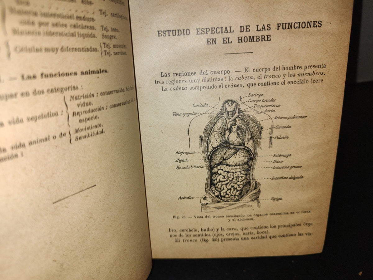 65- Ciencias Naturales Para Uso De Los Alumnos De Segunda Enseñanza - E. Caustier - 1927