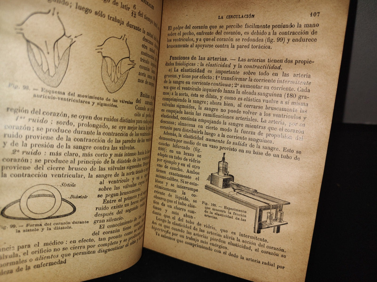 65- Ciencias Naturales Para Uso De Los Alumnos De Segunda Enseñanza - E. Caustier - 1927